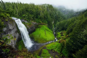 A waterfall among pines and moss